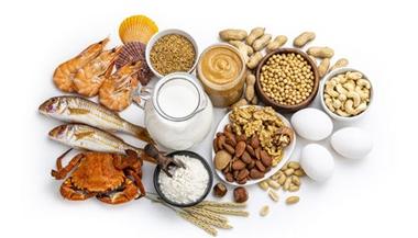 Array of common food allergens, including milk, eggs, nuts, shellfish and soy