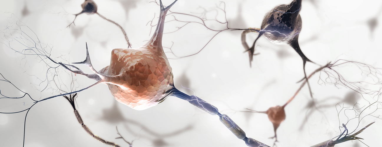 3D illustration of neurons on white background