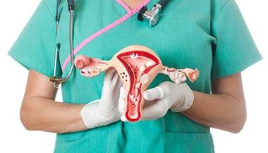 doctor holing a uterus and ovaries model