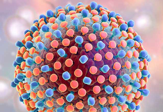 An image shows a hepatitis C virus. 